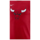 Nike Ανδρική κοντομάνικη μπλούζα NBA Chicago Bulls Essential Logo T-Shirt